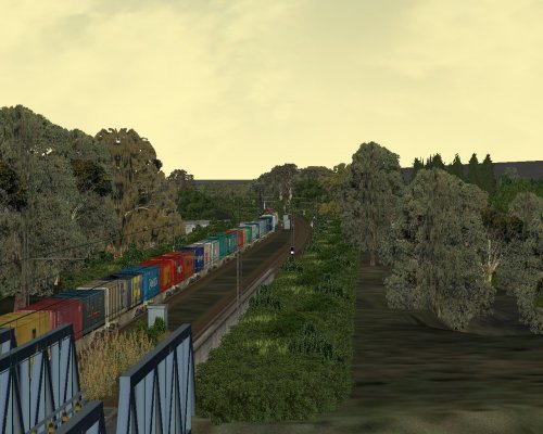 www.trainsimhobby.it/Train-Simulator/Activity/Merci/merci_containerLameziaTerme-paola.jpg